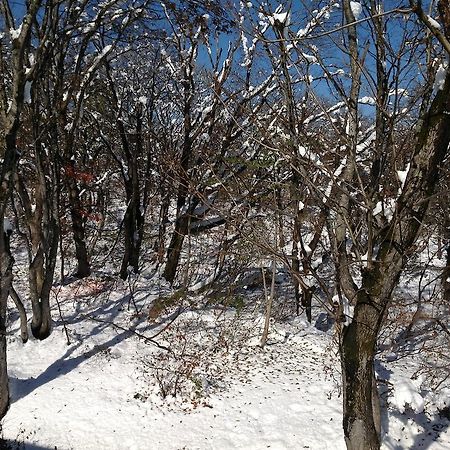 Myoko Kogen Pension Yamasan Kültér fotó