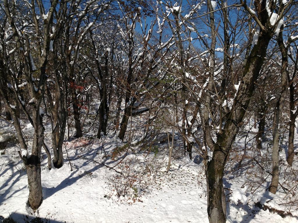Myoko Kogen Pension Yamasan Kültér fotó
